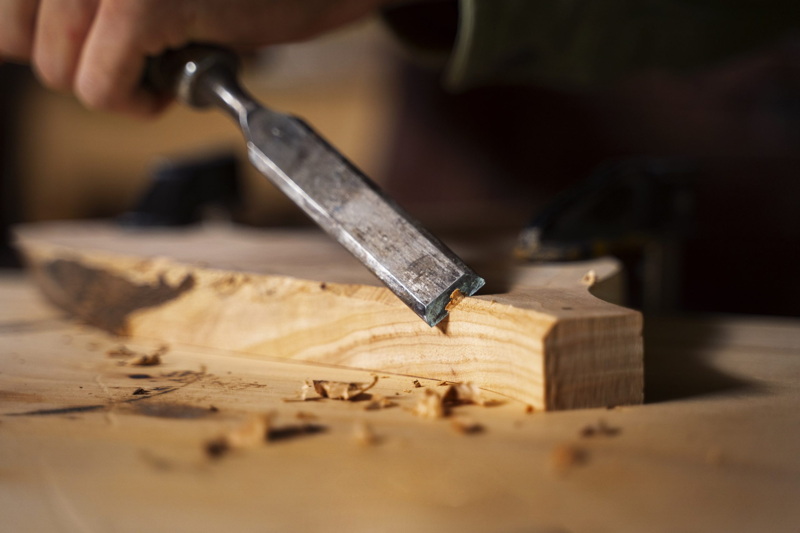 Frese per legno guida completa per l'hobbyista